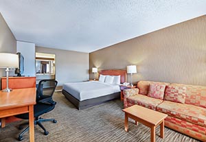 1 King Bed