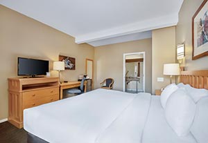 1 King Bed