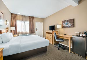 1 King Bed