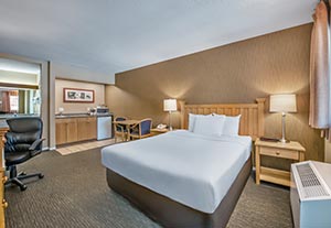1 Queen Bed